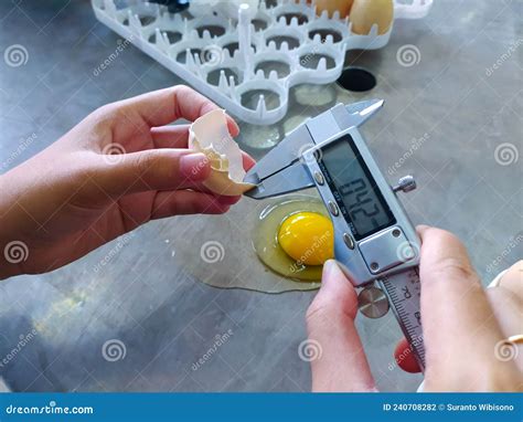 how to measure egg shell thickness|chicken egg shell thickness.